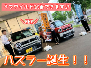６月最初の展示会★★大商談会やります！！